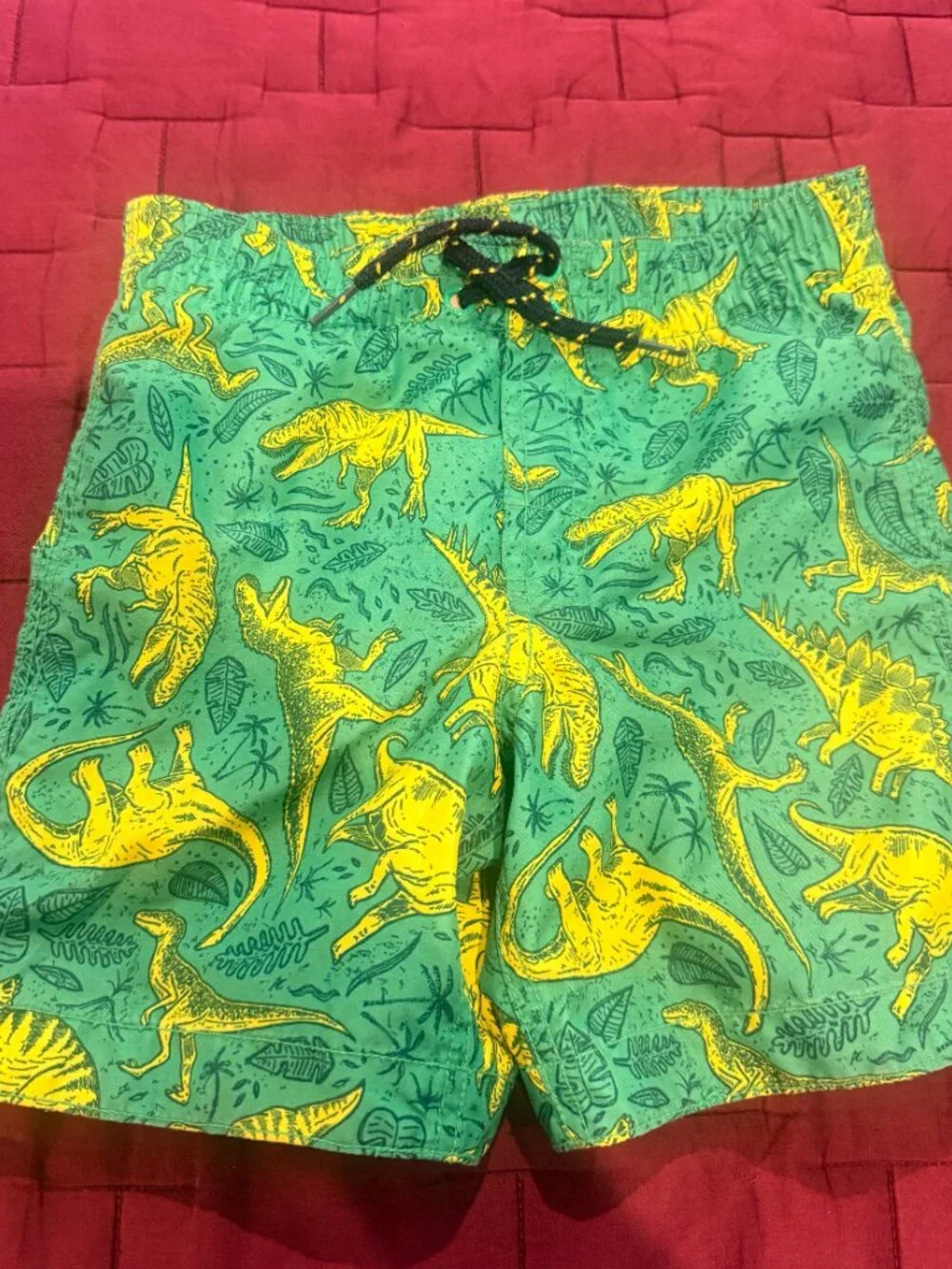 Bundle of 3 Boys Gap Swim Trunks - Size 5